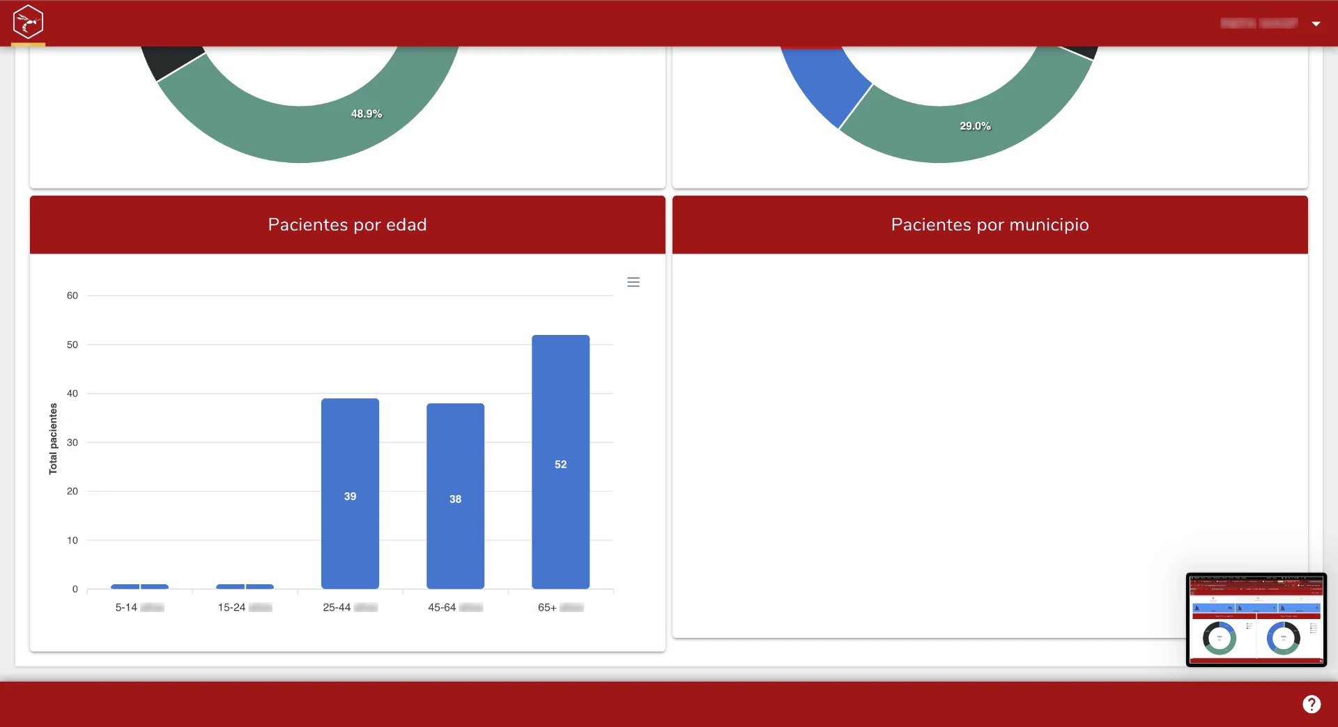 WASP ERP — Pacientes por edad y municipio
